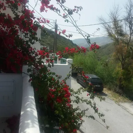 Elena İskiri